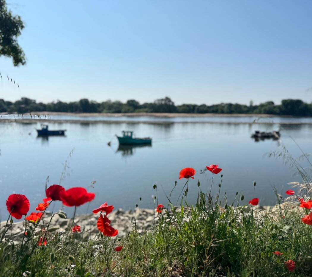 Au Bord du fleuve : sortie nature 1