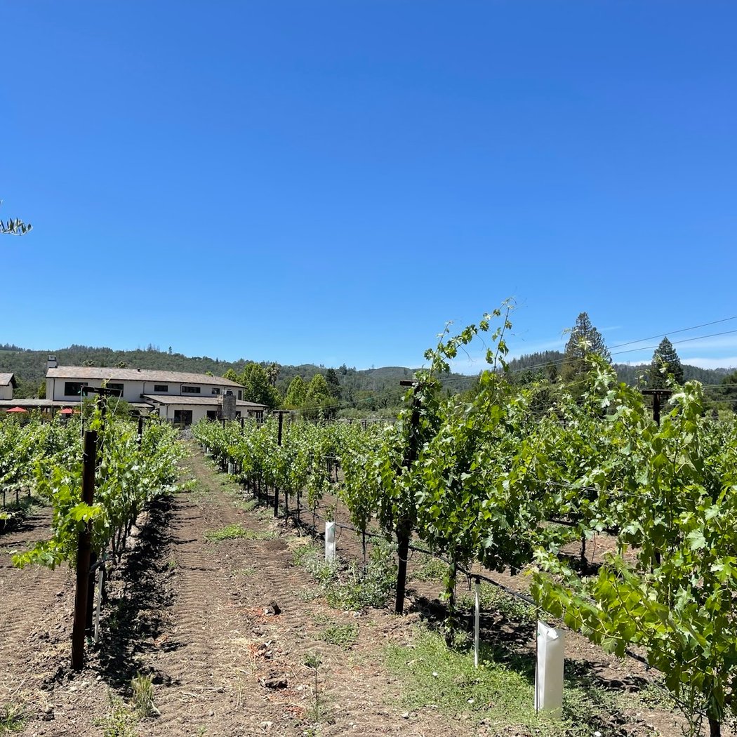 Tedeschi Family Winery - Napa Valley, CA 3