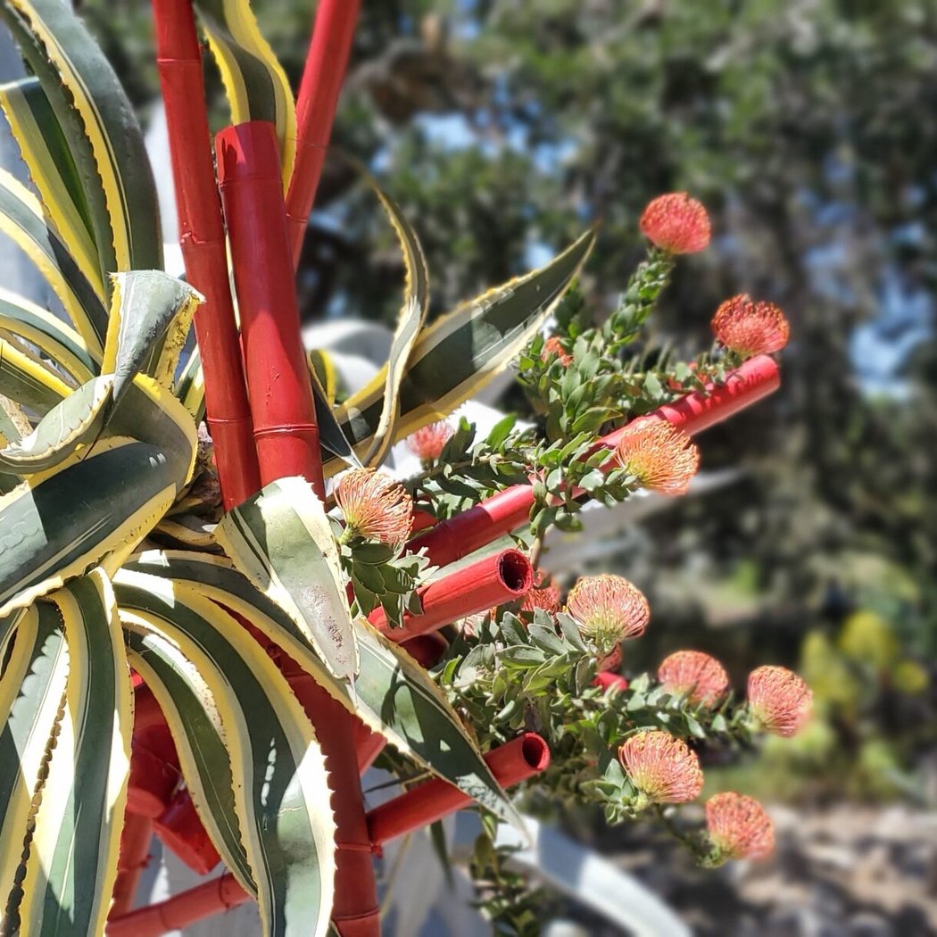 ArtScapes in the Garden 1