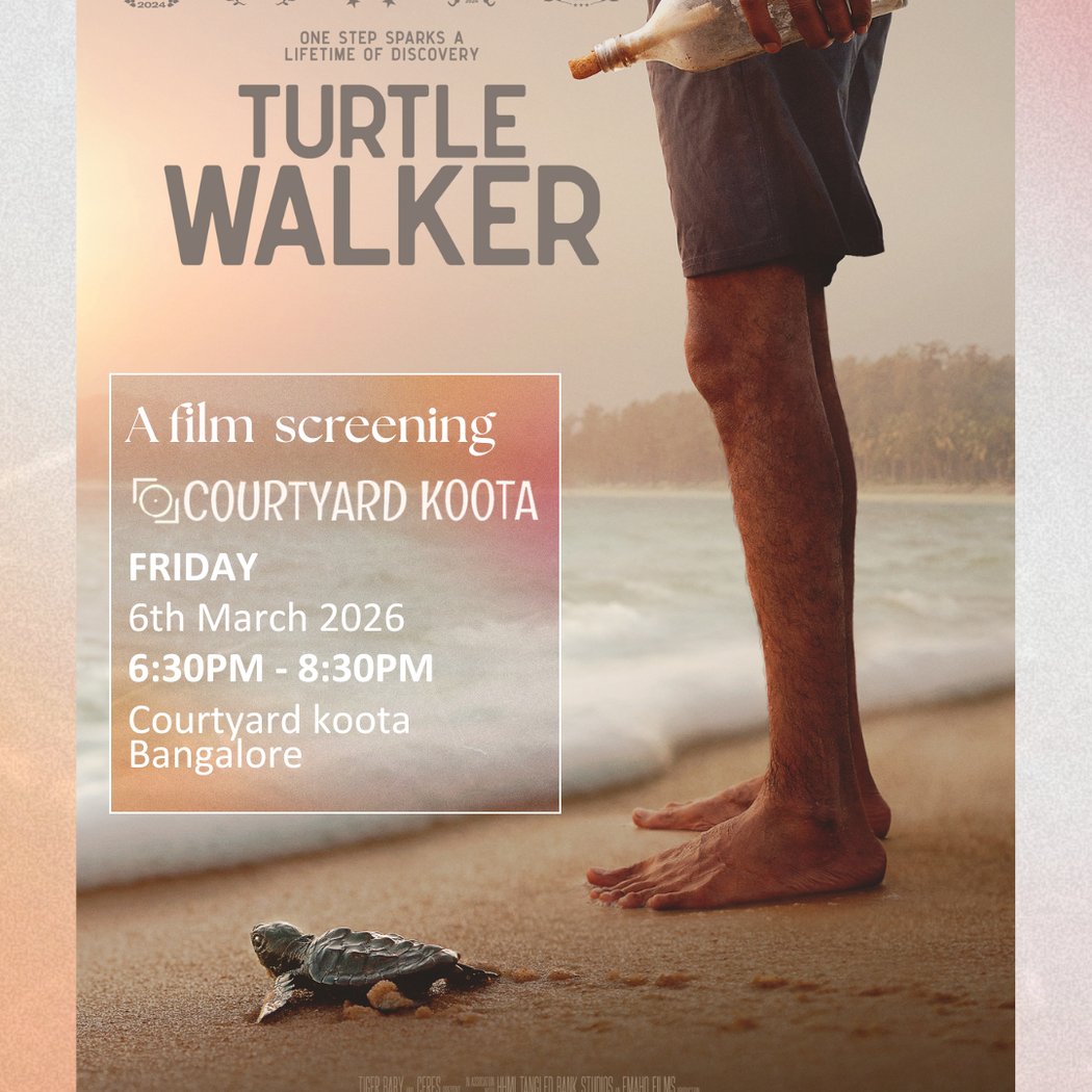 Turtle Walker 1