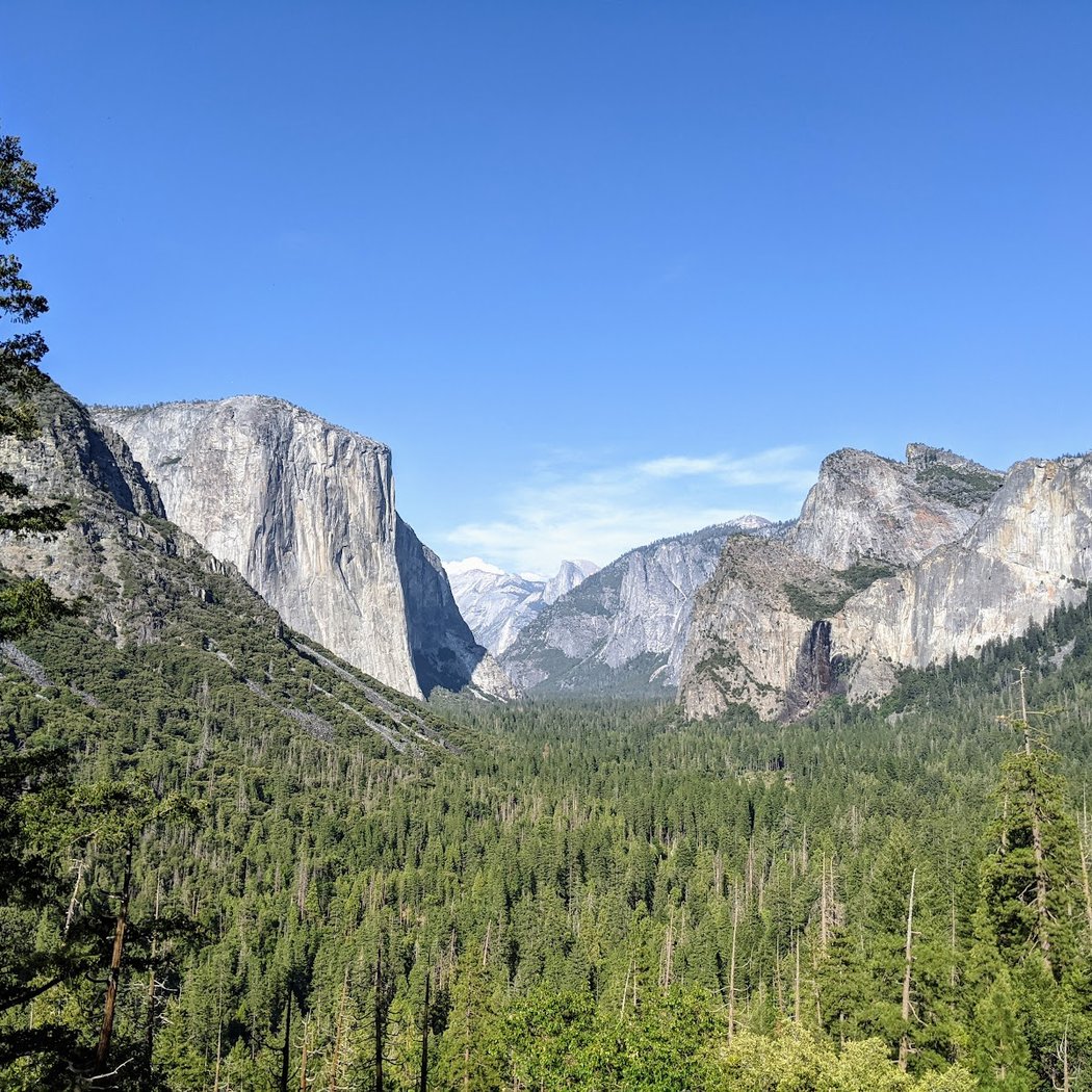 Yosemite Valley View 2