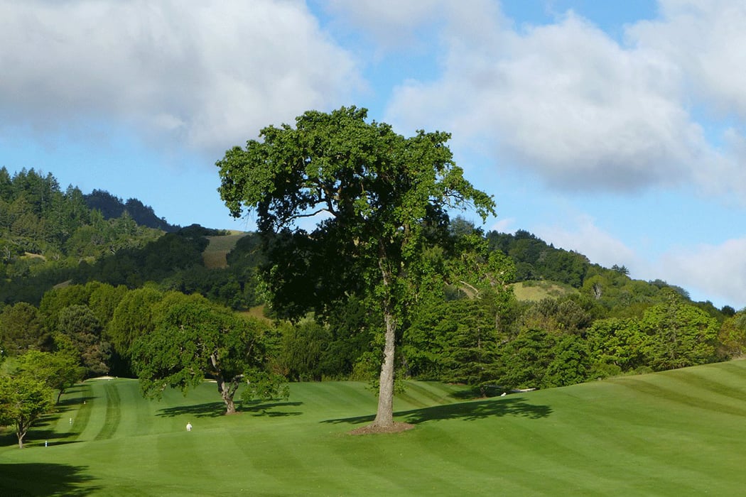 Indian Valley Golf Club 2