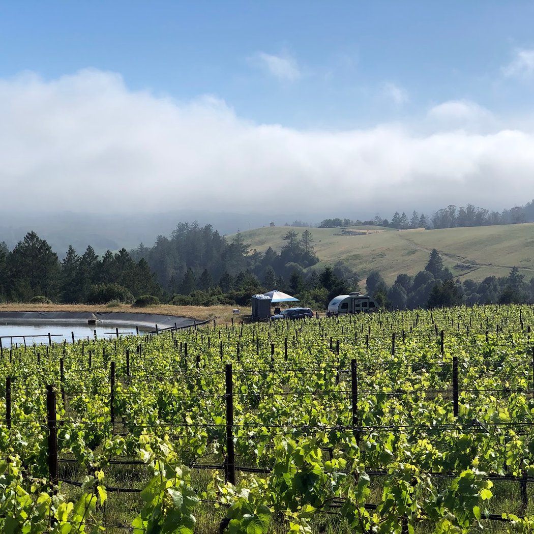Celebrate a Scandinavian Christmas at the Vineyard 2