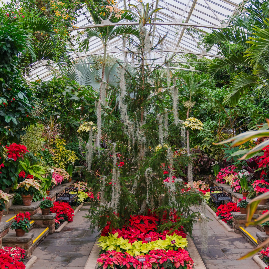 Holiday Display at the Main Greenhouse 1