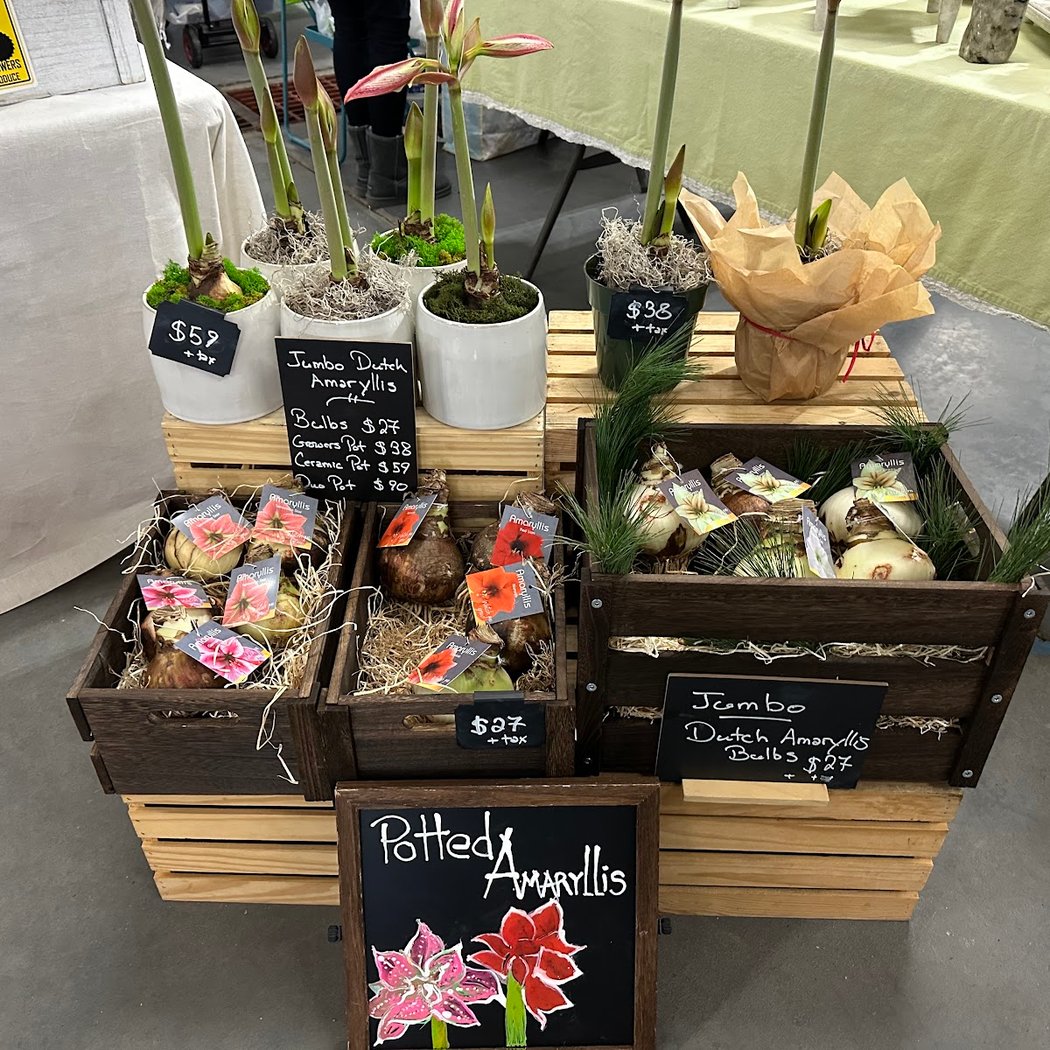Holiday Market 1
