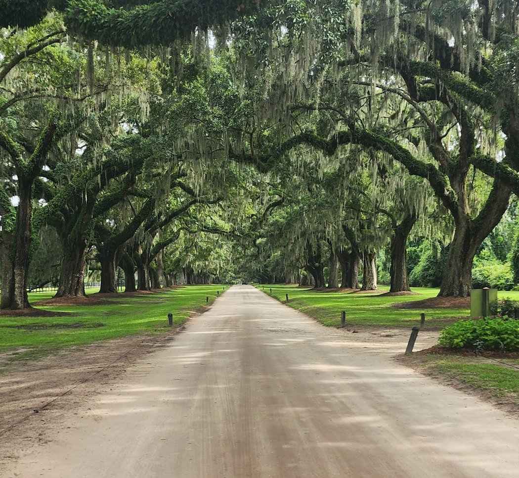 Boone Hall Plantation & Gardens 3