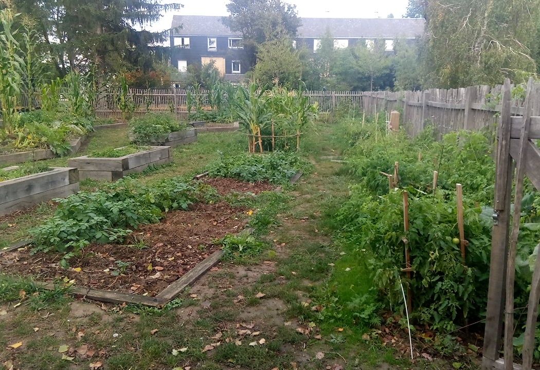 Partagé & Jardin Des Merveilles Garden 5