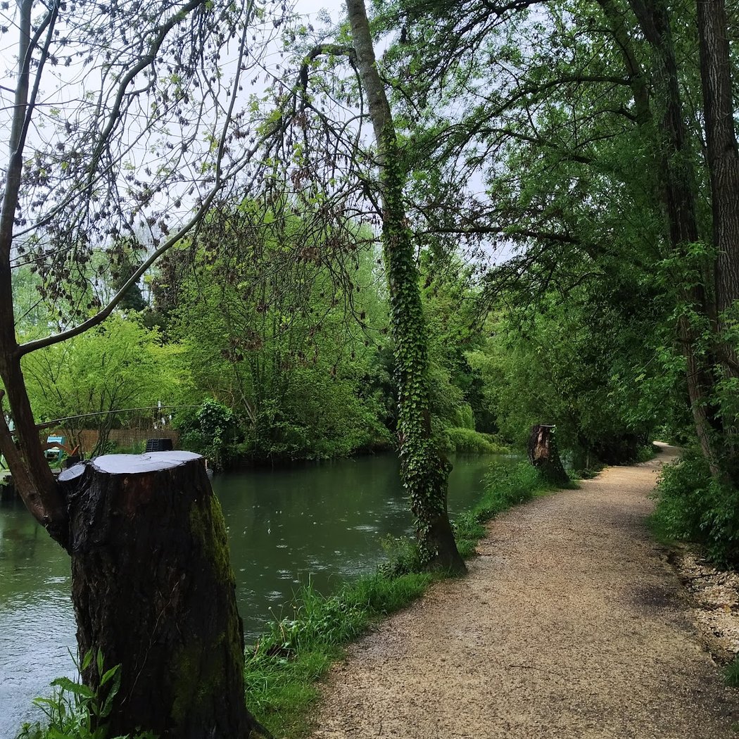 Les marais de Bourges 1