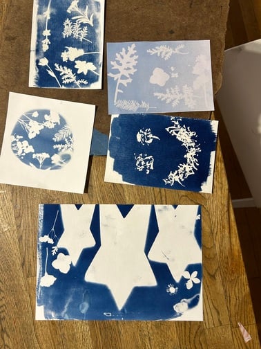 Cyanotype After Dark 1