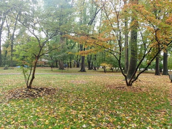 G. Thomas DiDomenico Park 4