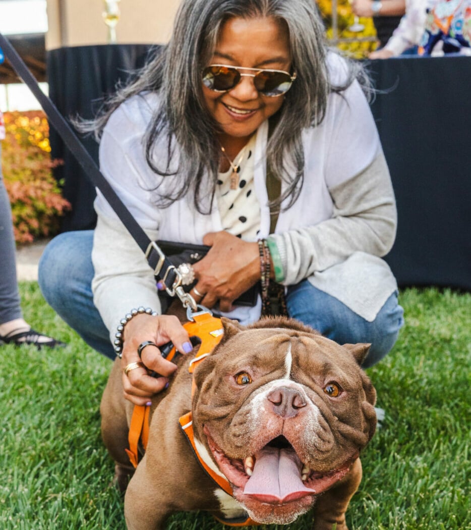 Blessing of the Animals Fundraiser 1