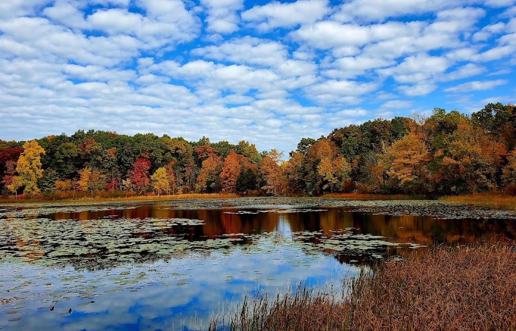 Highland Recreation Area 1