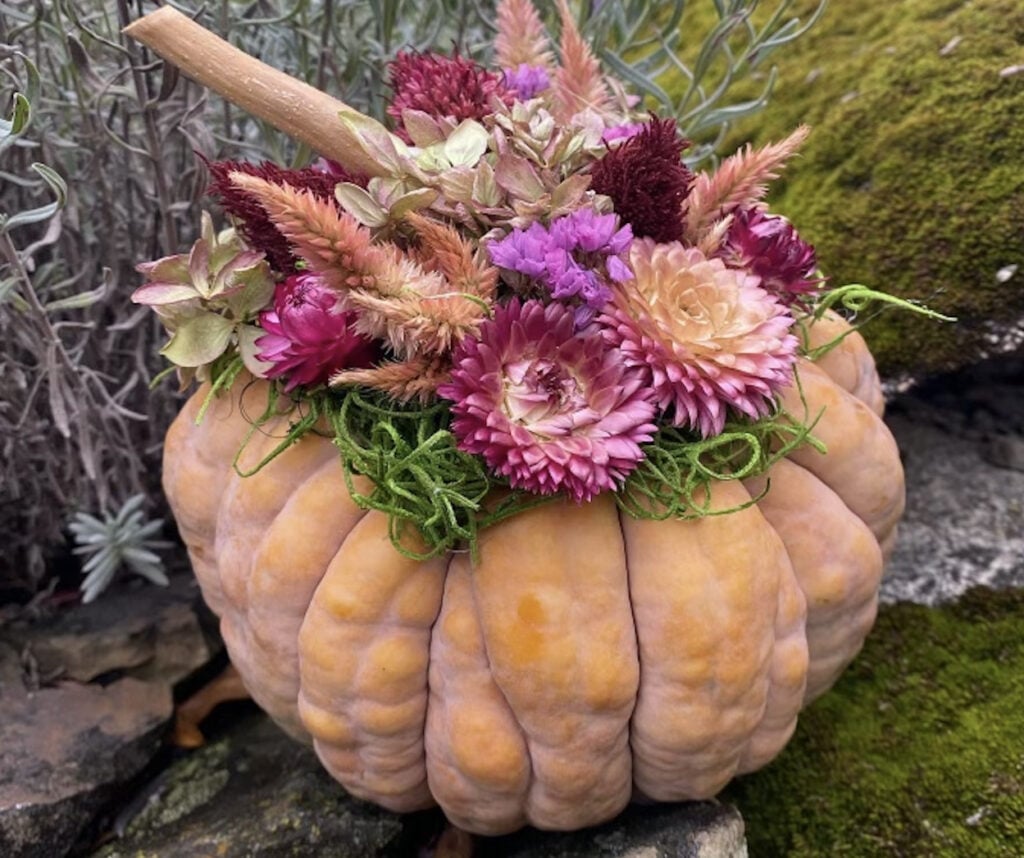 Dried Flower Pumpkins Workshop 1