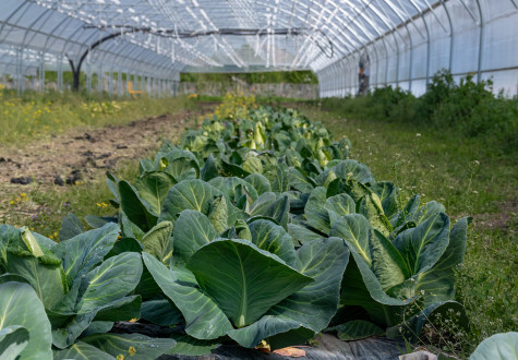 Les Fermes De Gally Farm Ouverte, Vente Directe 4