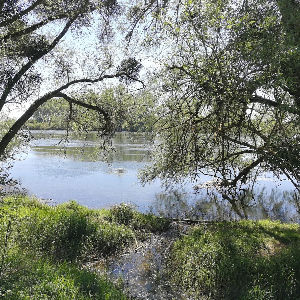Parc de la Solitude 3
