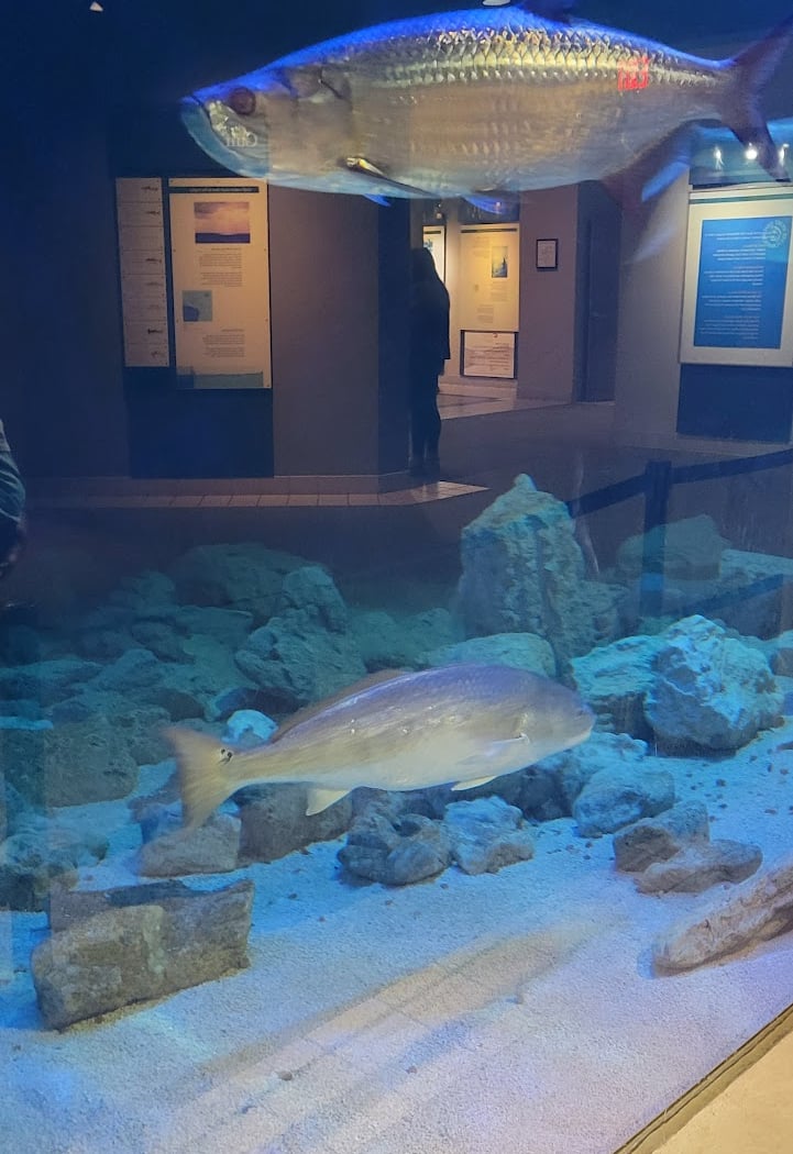 Sea Center Texas 4