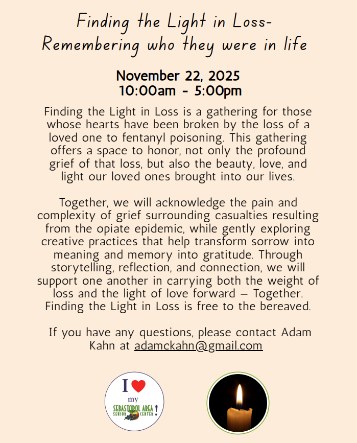 Finding the Light in Loss 1