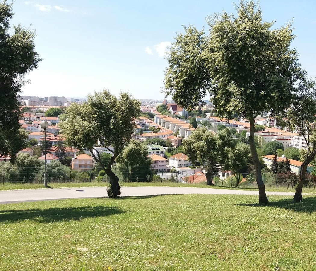 Parque da Bela Vista 3