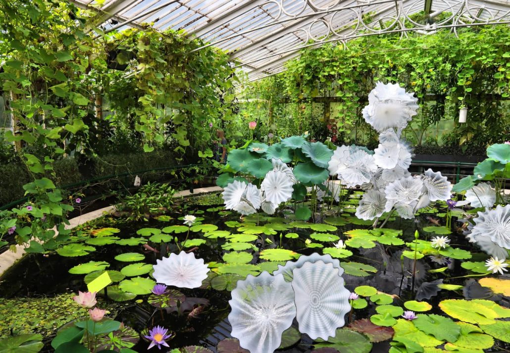 Waterlily House 5