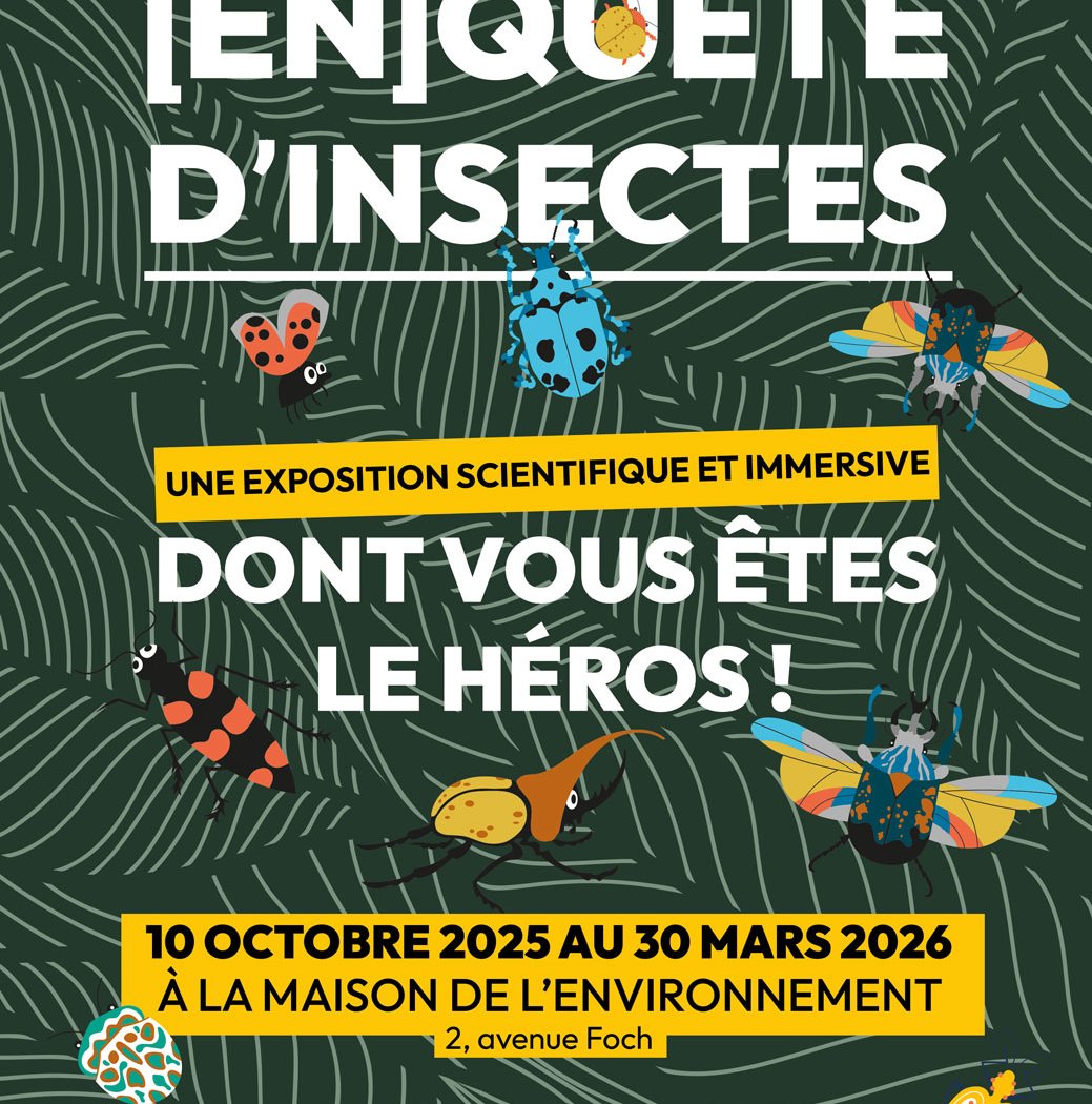Enquête d’insectes 1