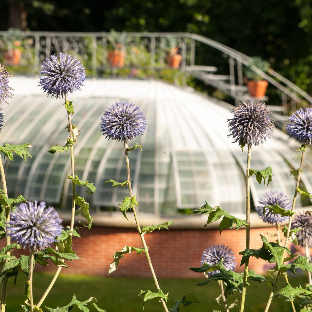 Botanical Garden 4