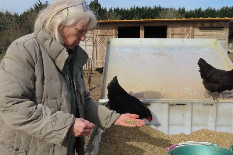 Ferme bio du plateau Briard 5