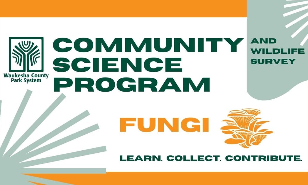 Community Science: Fungi 1