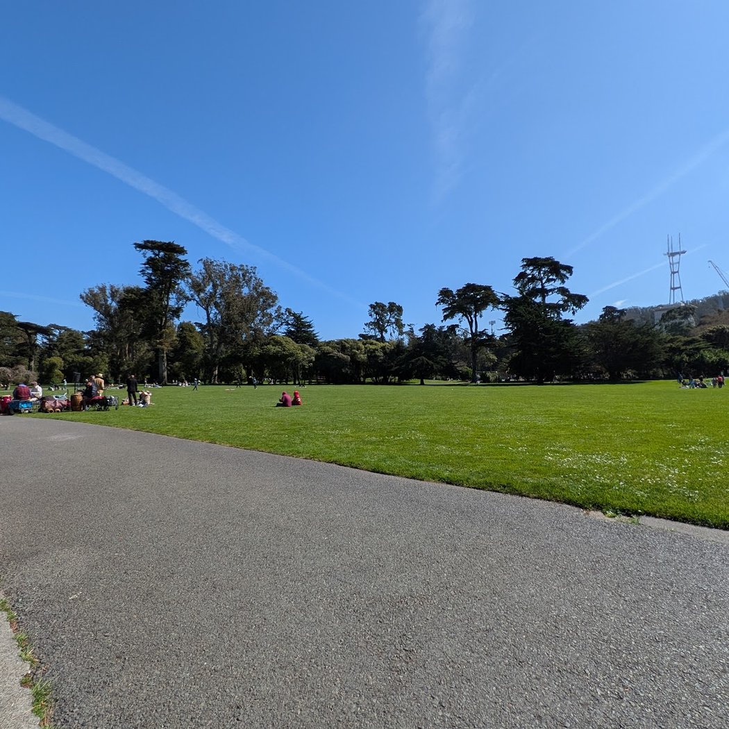 Robin Williams Meadow 1
