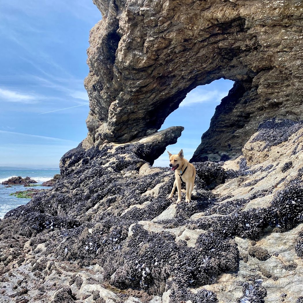 Wildcat Beach 1