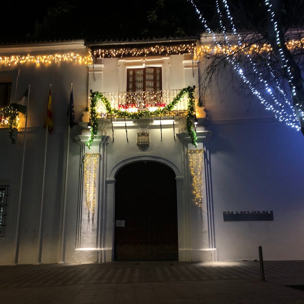 Ayuntamiento de Tomares 1