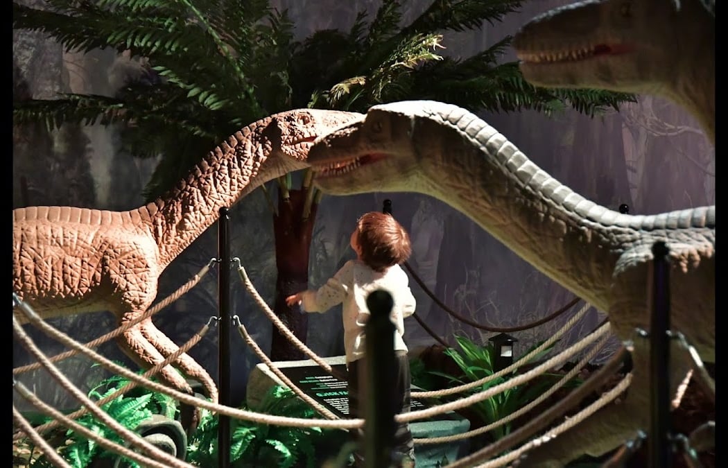 Jurassic Gardens 1