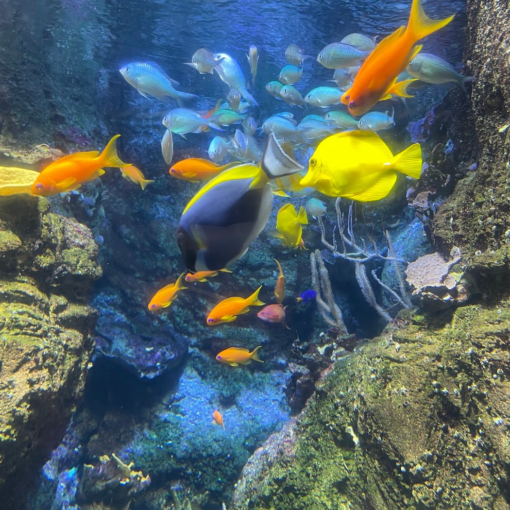 Aquarium de Paris 5