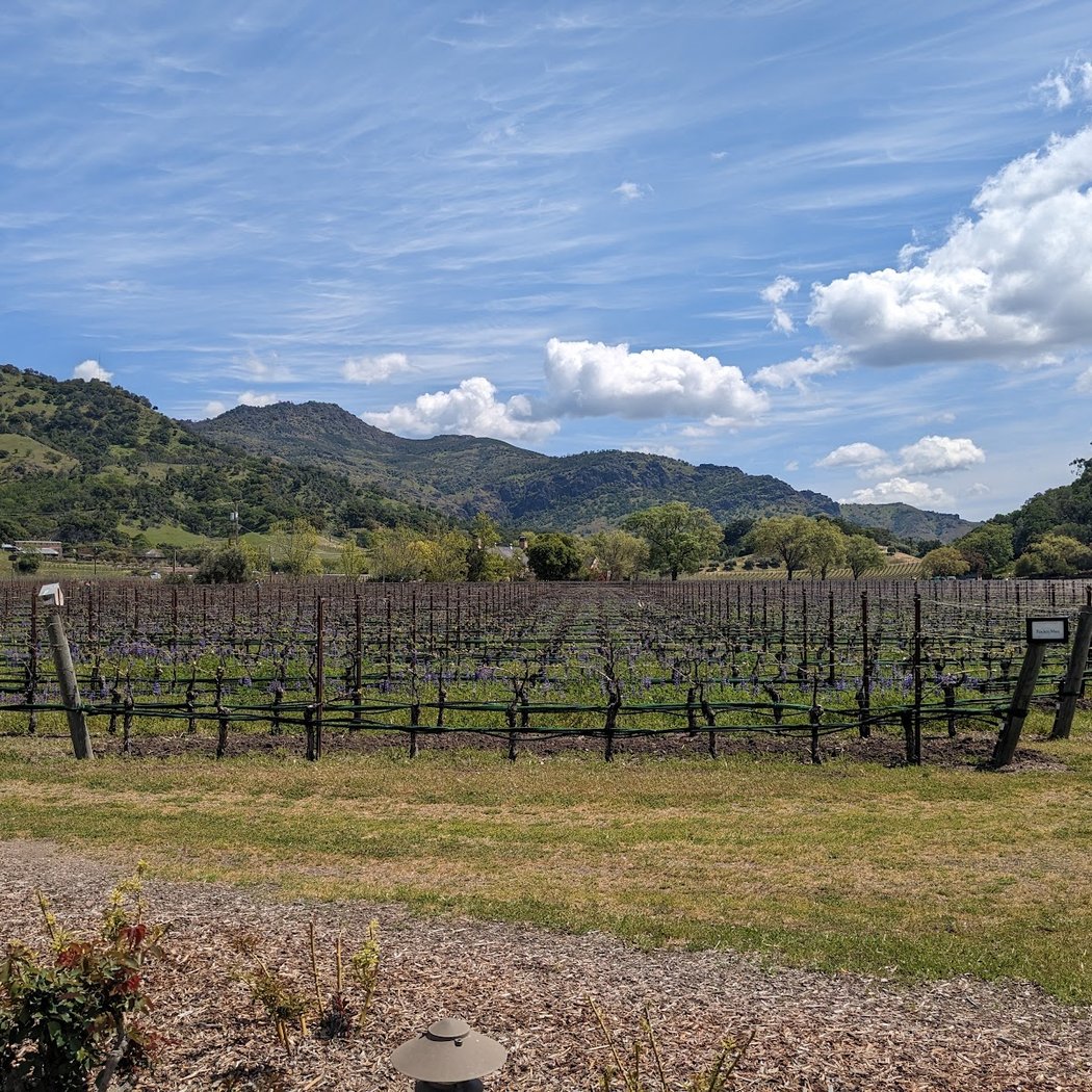 Music in the Vineyards 2