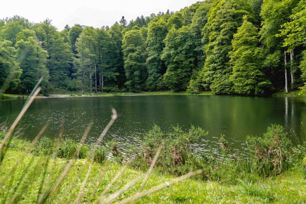 Aire Naturelle De Camping D'Iraty 1