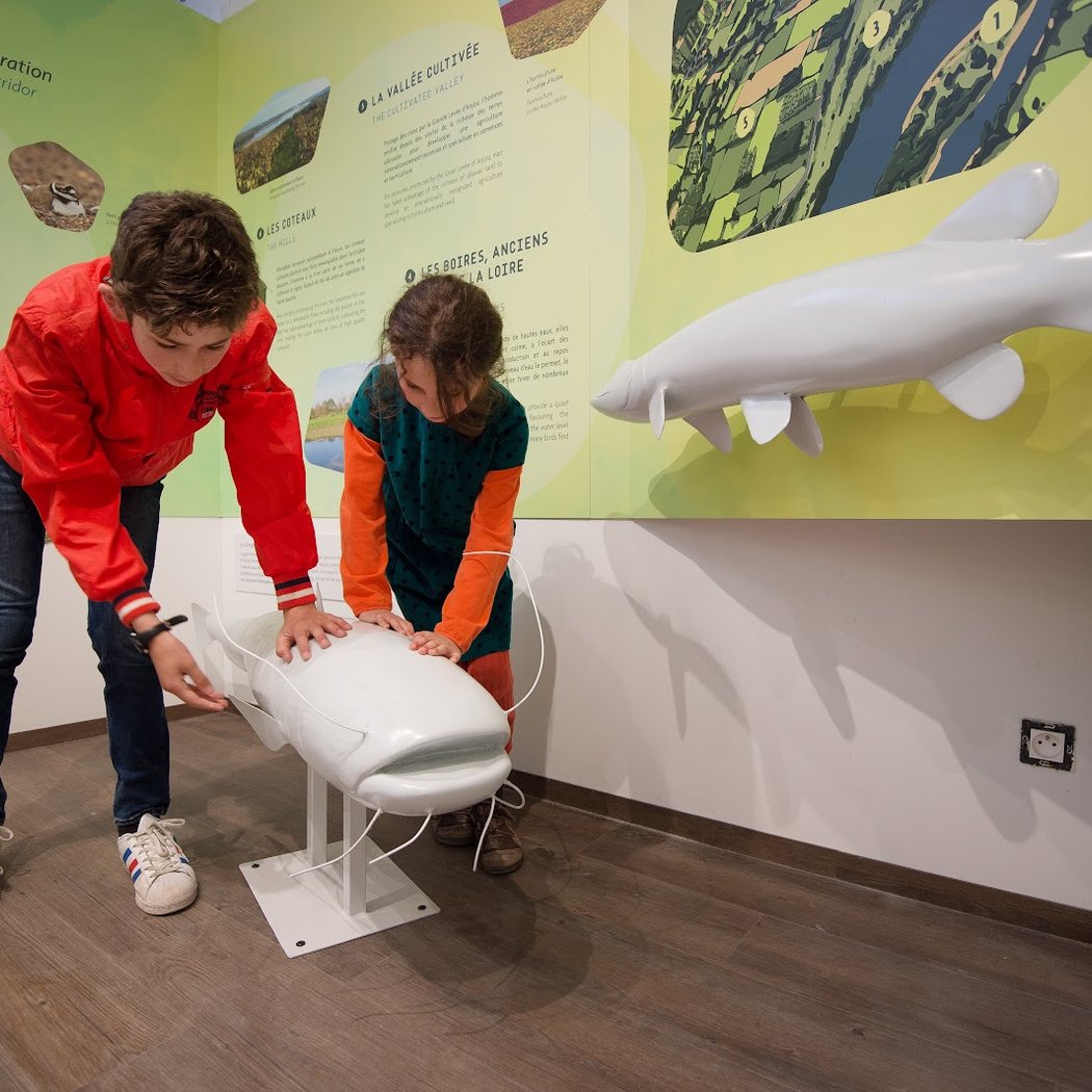 Exposition "Les Mystères du Gange" 1