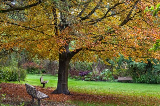 San Francisco Botanical Garden's Free Day 1
