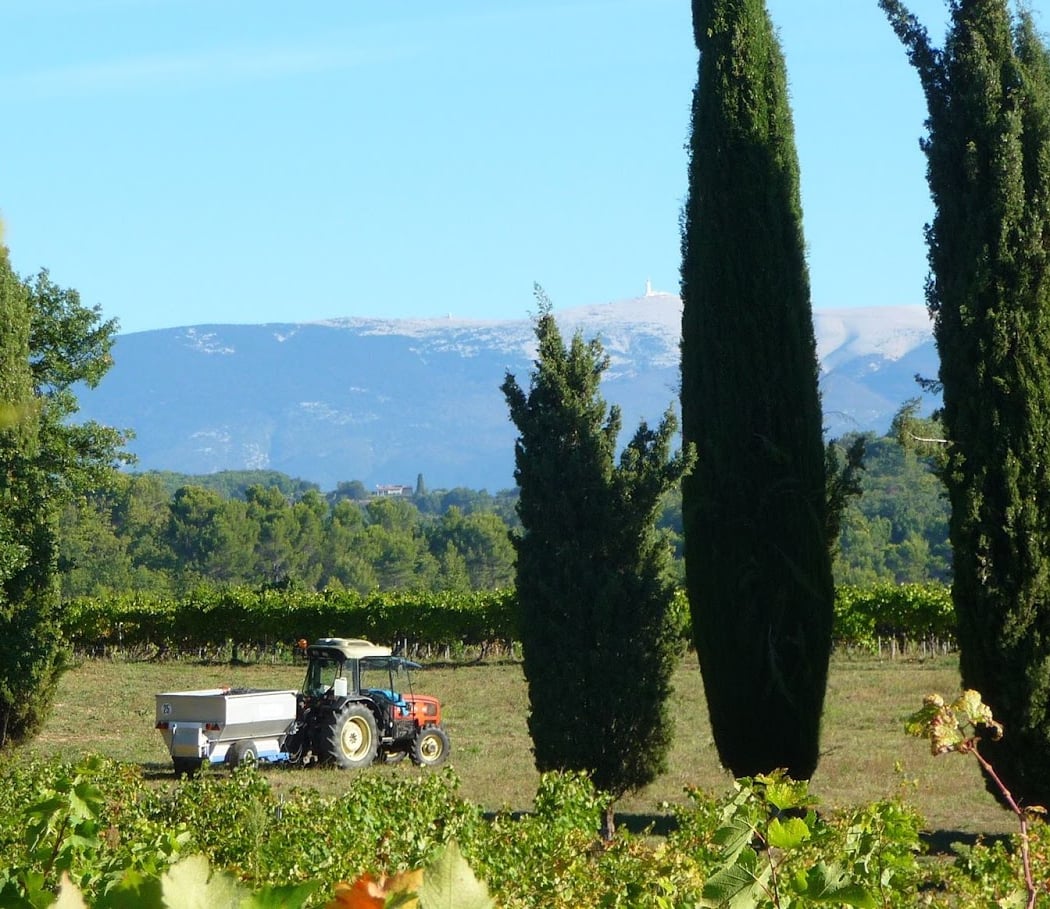 Château Unang 3