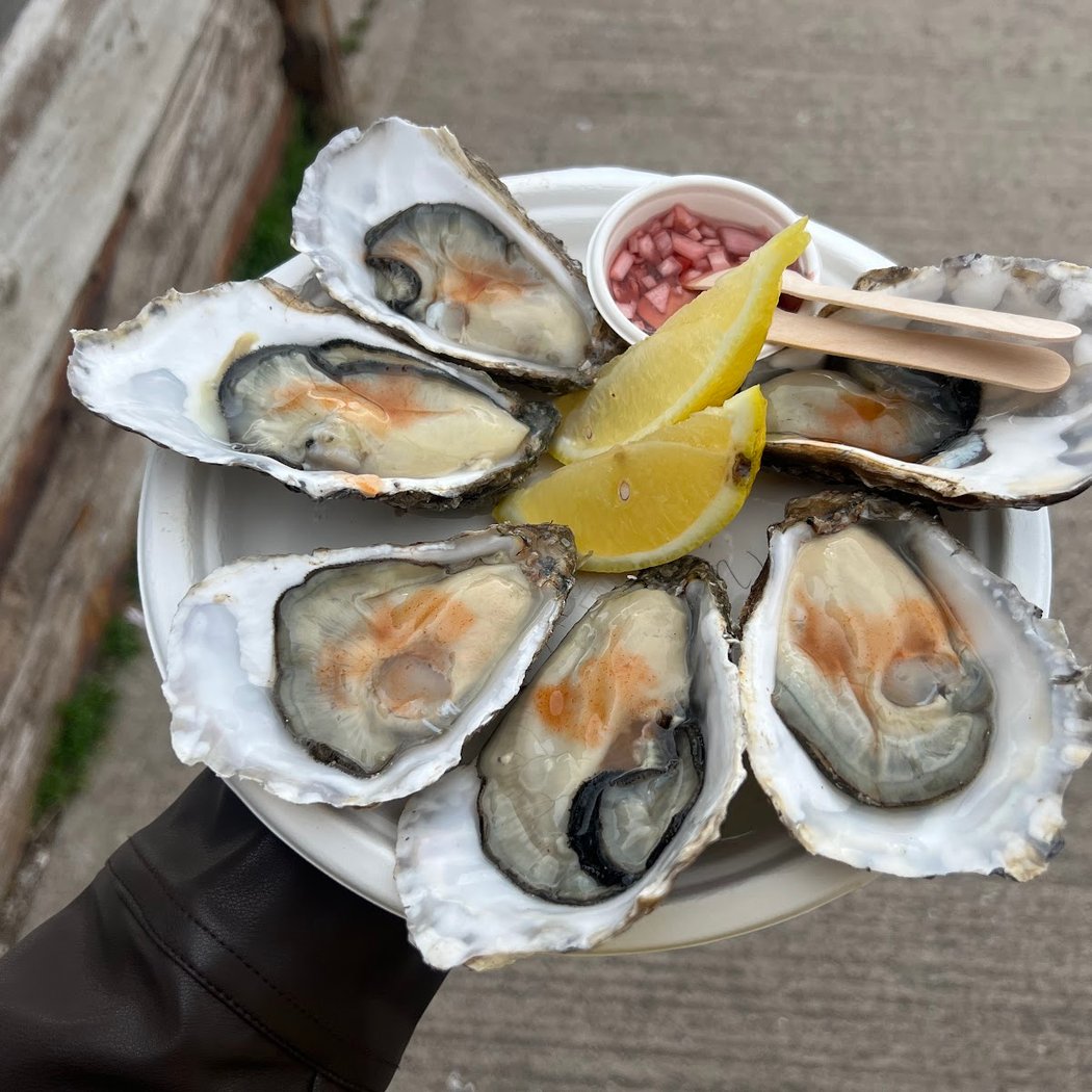 The Oyster shed 1