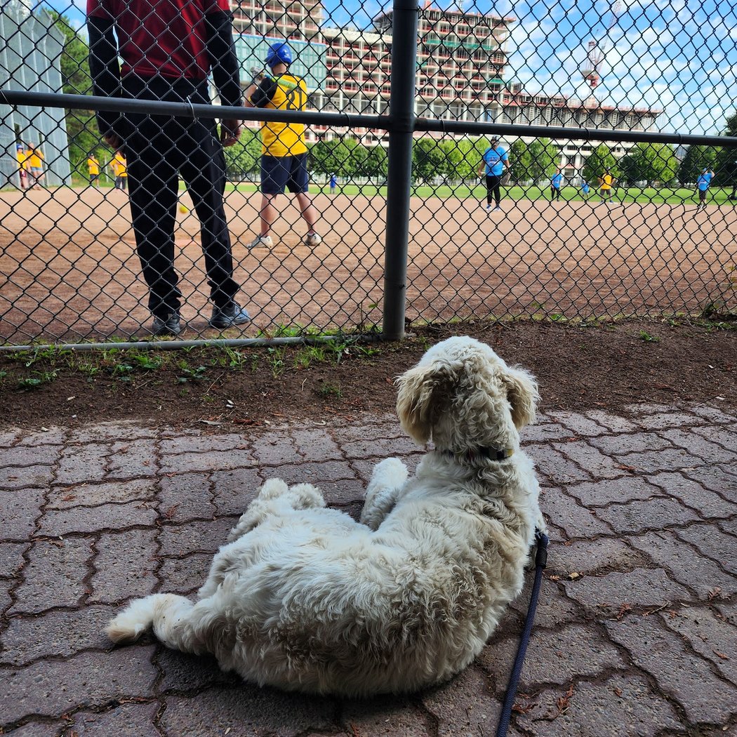 East Toronto Athletic Field 1