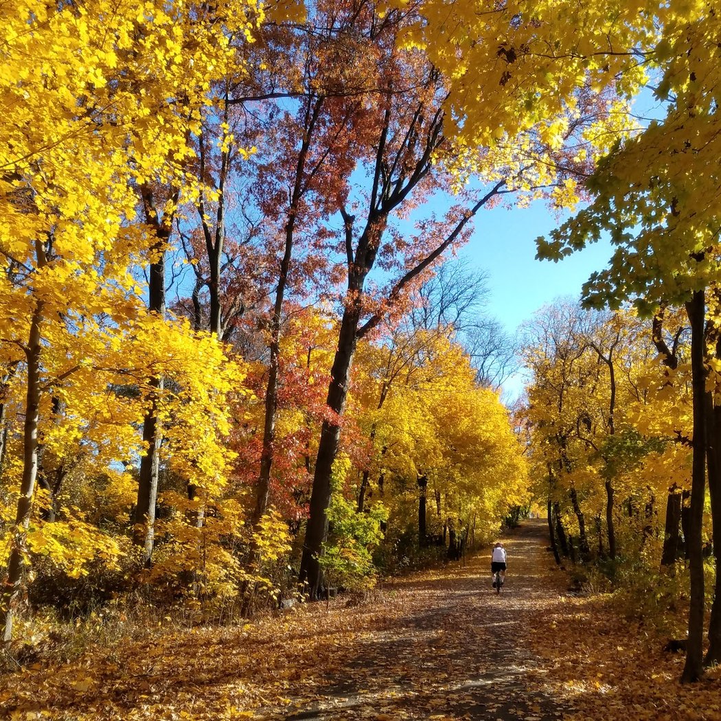 Vanderbilt Parkway 1