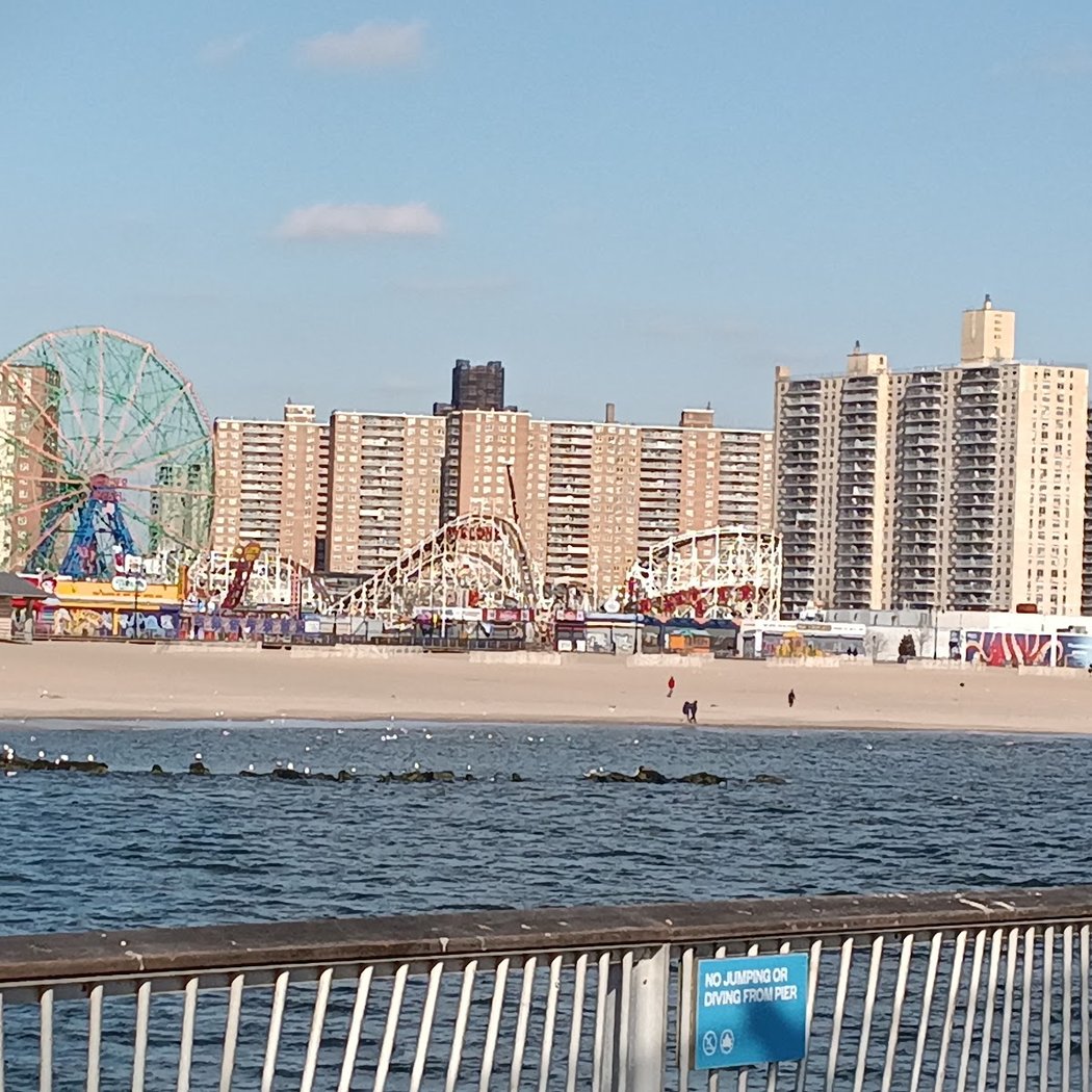 Coney Island New Year's Day Polar Bear Plunge 2