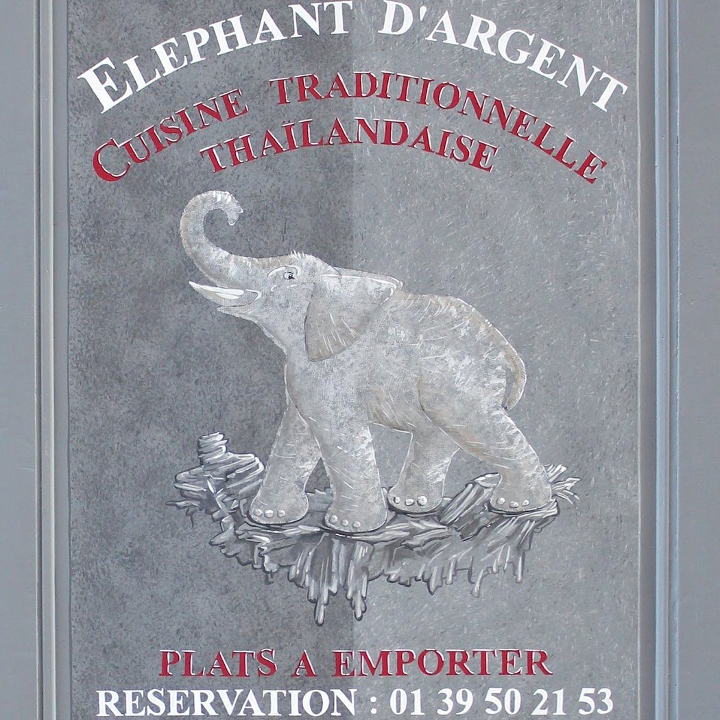 Éléphant d'argent 3