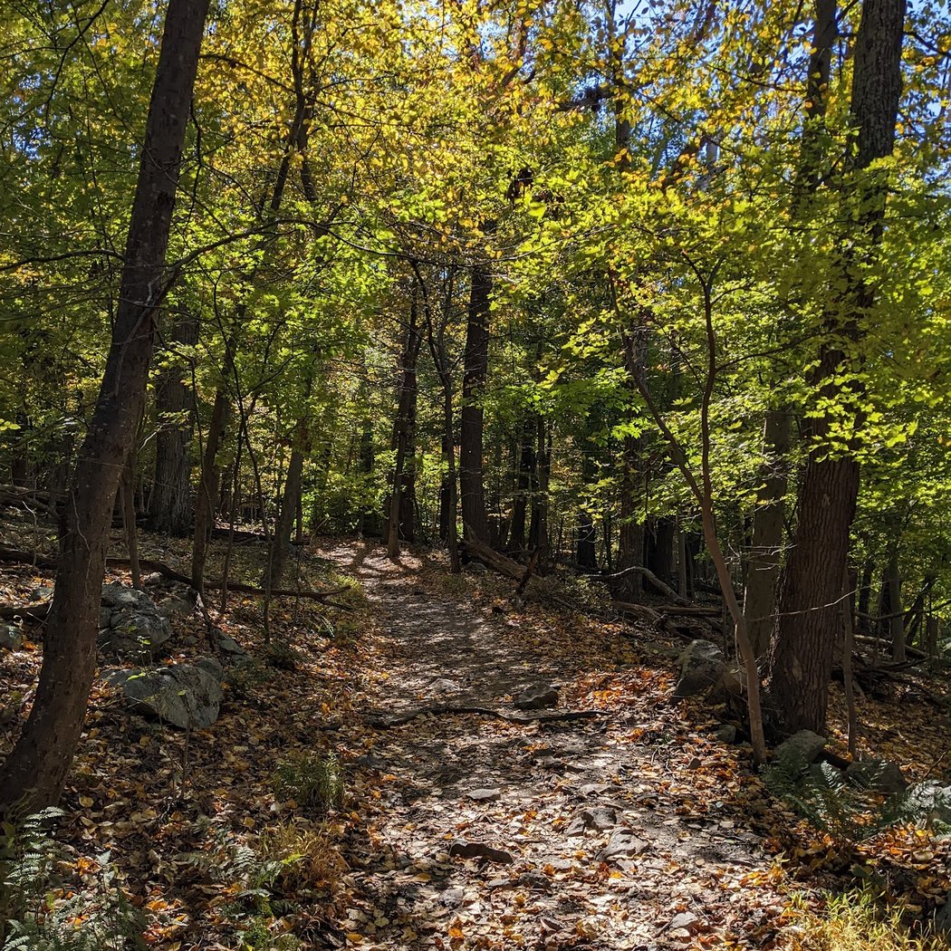 Appalachian National Scenic Trail 2