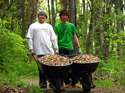 Heron’s Nest: Liberating the Forest 3