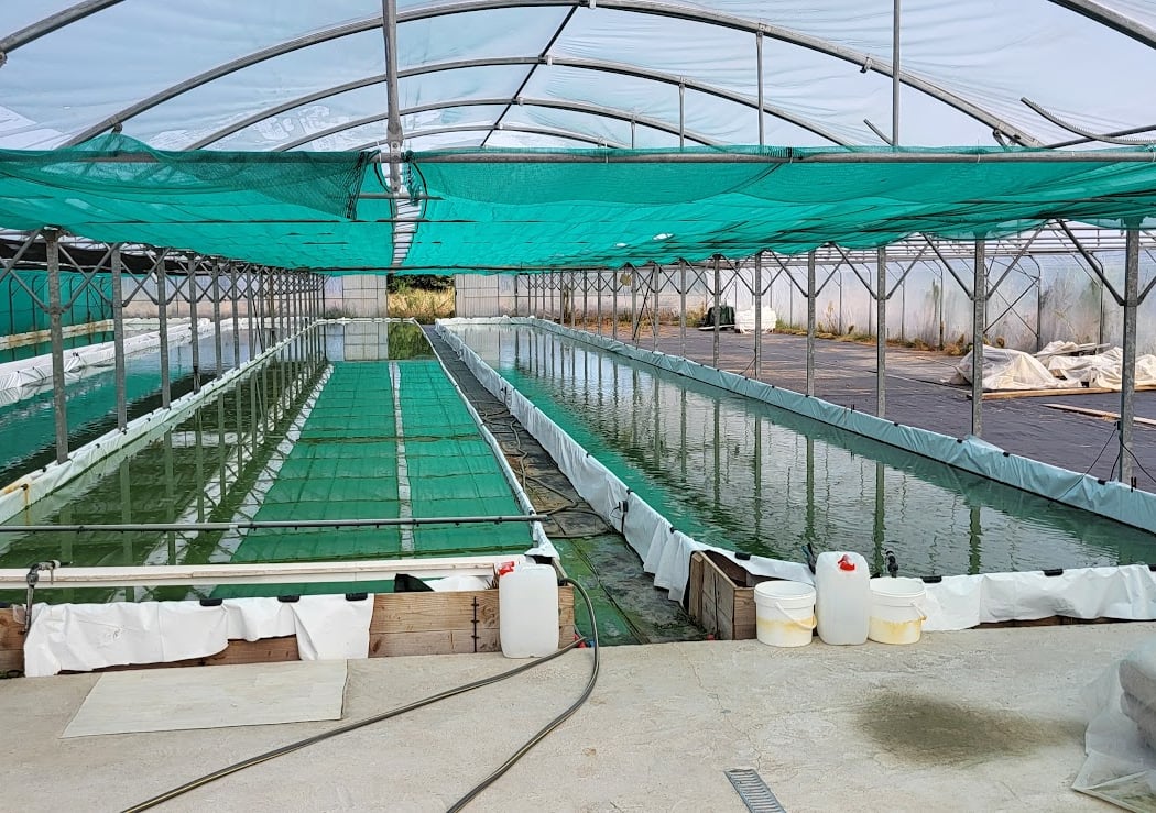 Free visit of La Cabane à Spiruline 2