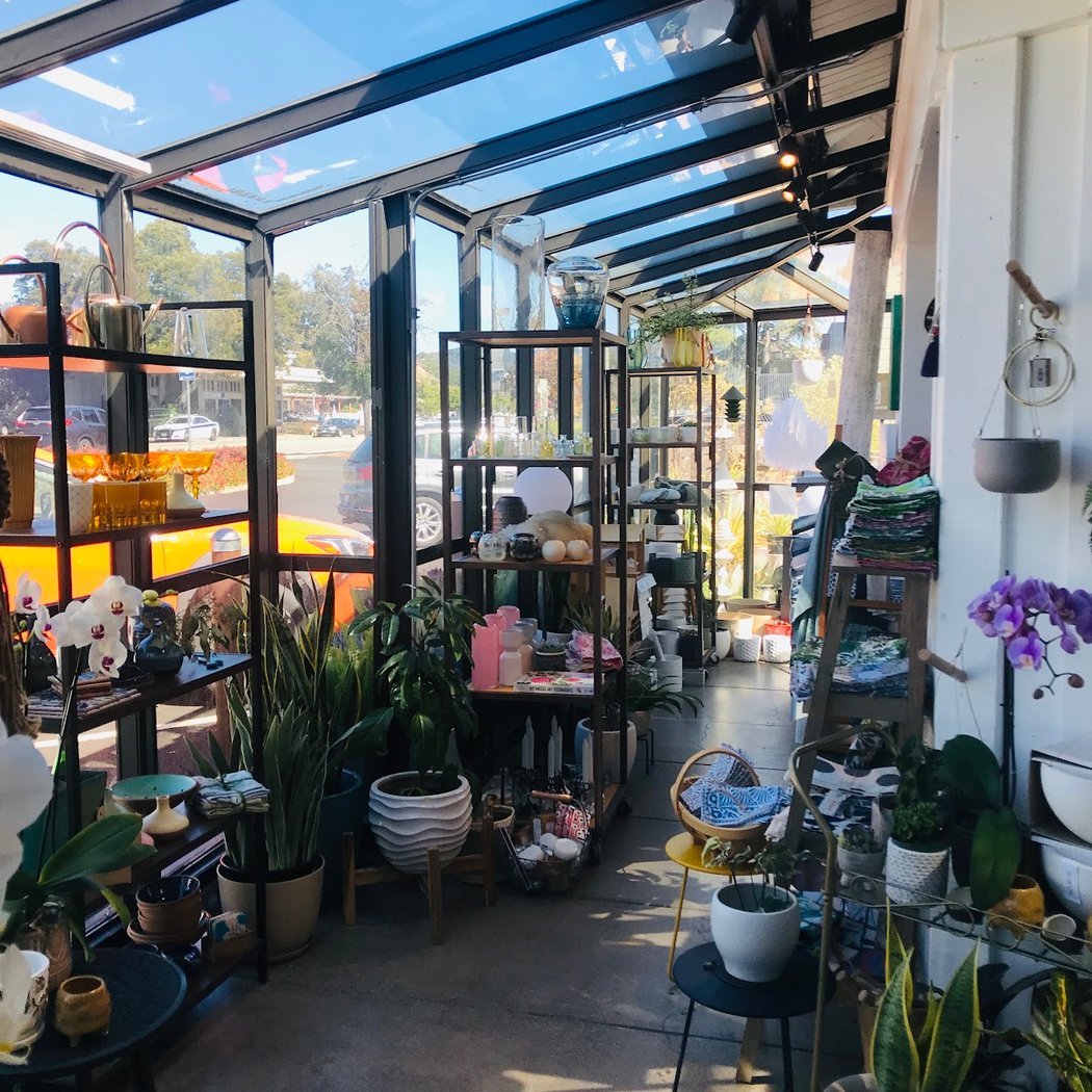 Tarot at That Garden Store 3