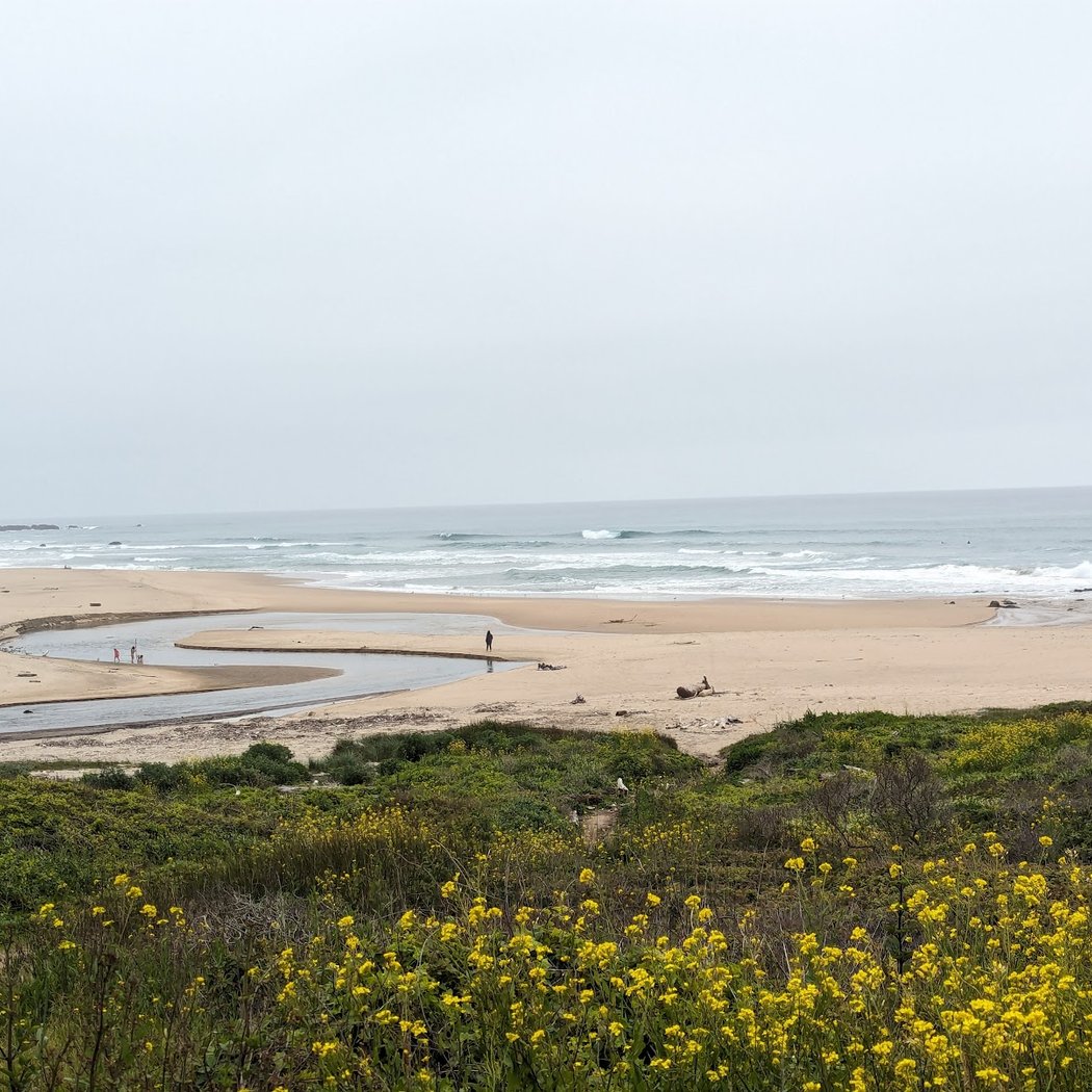 Gazos Creek State Beach 3