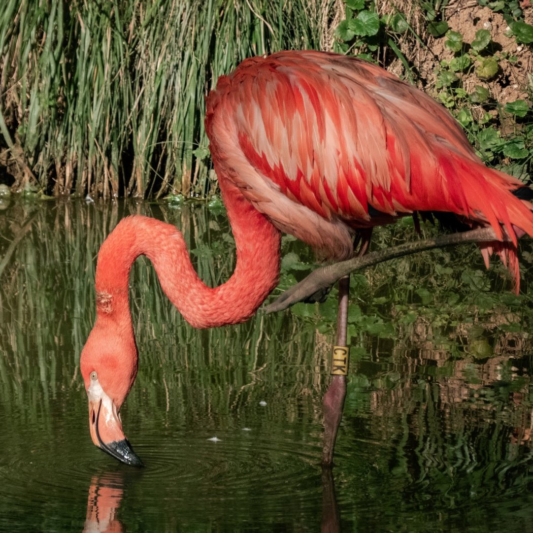 Parc de l'Auxois 4