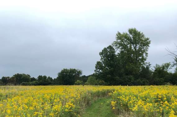 Dominican Meadows Preserve