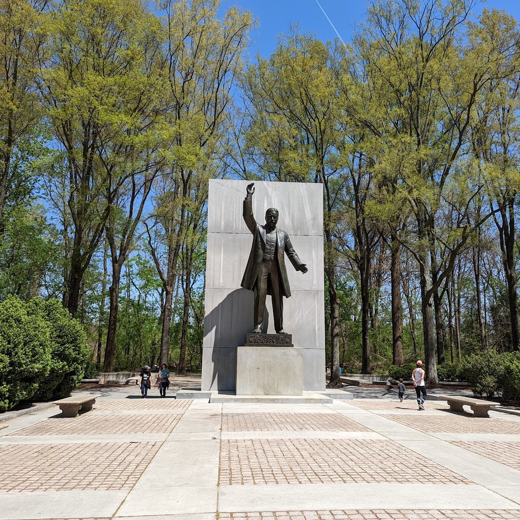 Theodore Roosevelt Island 2